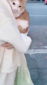 穿汉服见网友，被无套内射，最后被射一脸